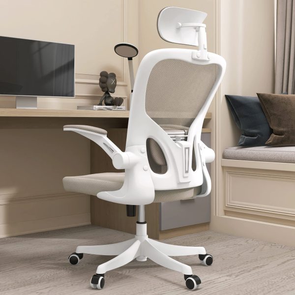 Ergonomic Office Chair